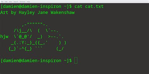 How To Use The Cat.